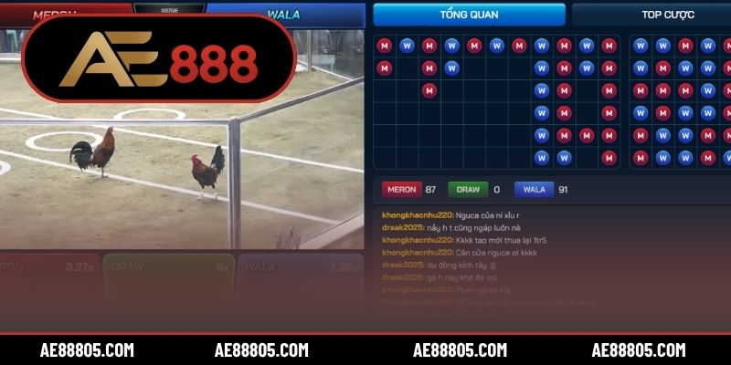 3 sảnh liên kết tham gia cá cược đá gà được chuộng nhất