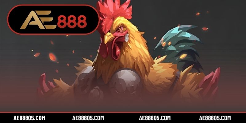 3 tiêu chí chọn gà đá hay dựa vào tính cách