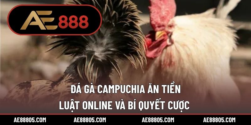 Đá Gà Campuchia Ăn Tiền – Luật Online Và Bí Quyết Cược 