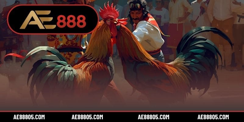 Đá gà online rút tiền là mô hình giải trí hấp dẫn