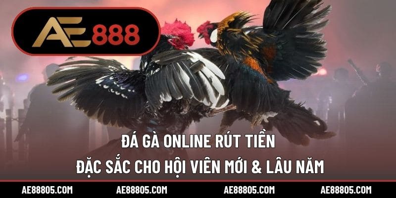 Đá Gà Online Rút Tiền Đặc Sắc Cho Hội Viên Mới & Lâu Năm