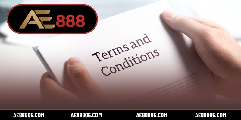 Nội dung 4 mục quy định cụ thể trong điều khoản điều kiện