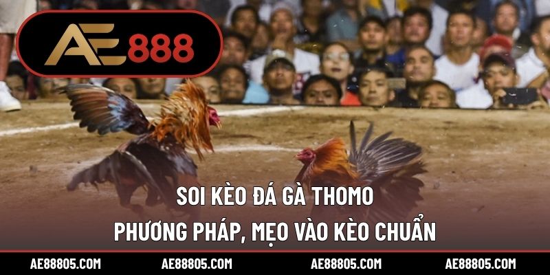 Soi Kèo Đá Gà Thomo – Phương Pháp, Mẹo Vào Kèo Chuẩn