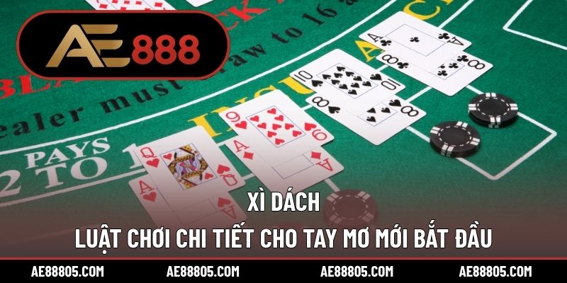 Xì Dách – Luật Chơi Chi Tiết Cho Tay Mơ Mới Bắt Đầu