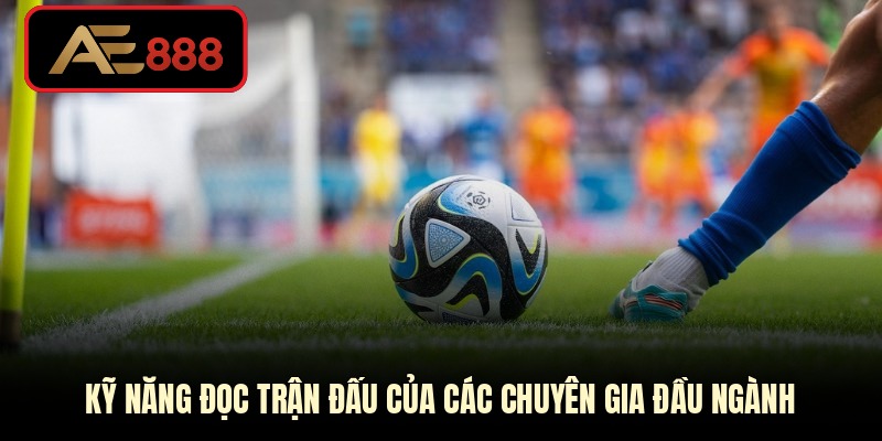 Kỹ năng đọc trận đấu của các chuyên gia đầu ngành