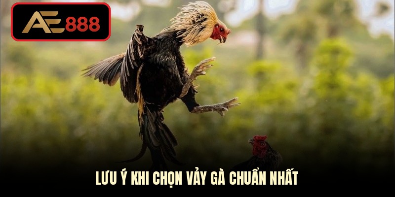Lưu ý khi chọn vảy gà chuẩn nhất