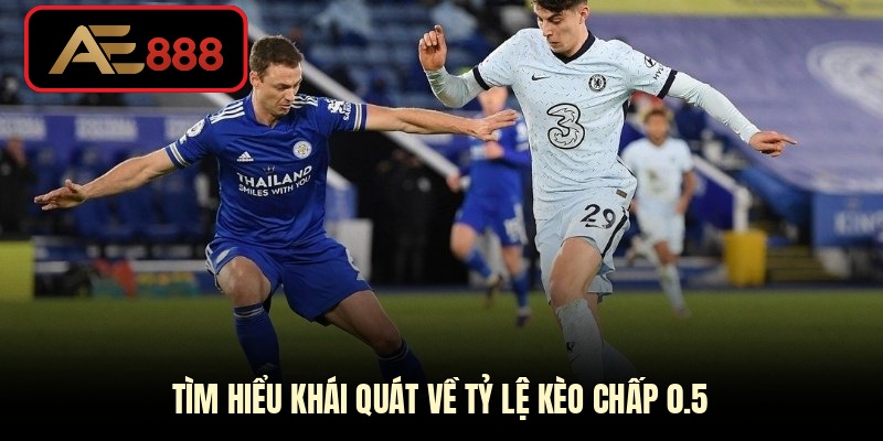 Tìm hiểu khái quát về tỷ lệ kèo chấp 0.5