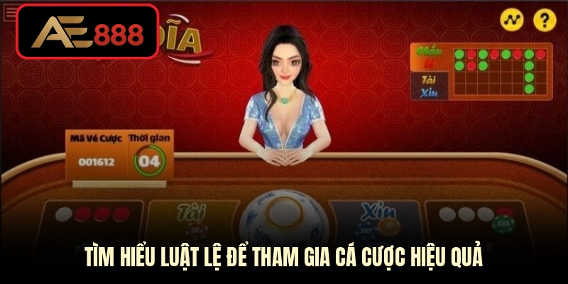 Tìm hiểu luật lệ để tham gia cá cược hiệu quả